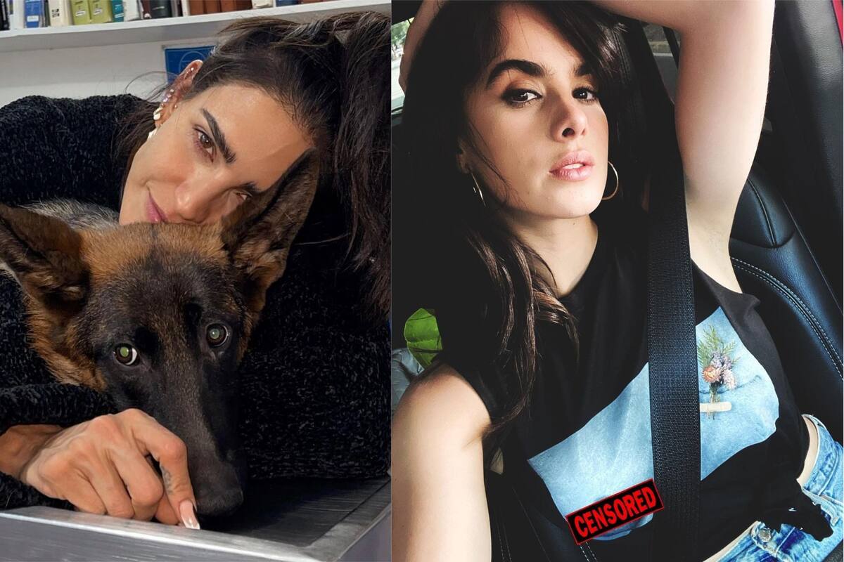 "Solamente quiere likes": Gala Montes a Bárbara de Regil por publicar la muerte de su perrita