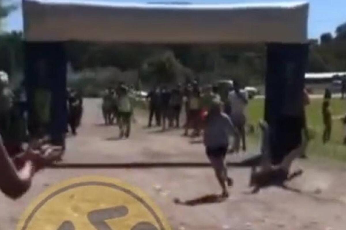 Corredor se cae justo antes de llegar a la meta por presumir y le terminan ganado