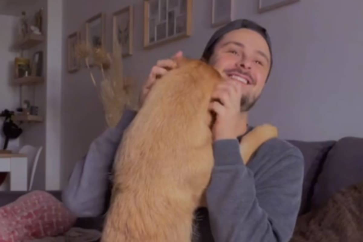 TikTok: Emotiva reacción de perrita al enterarse que su dueño saldrá de casa sin ella cautiva a internautas