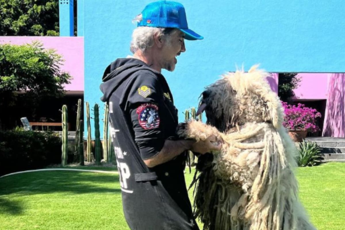 Alejandro Fernández reciba fuertes críticas por no cuidar bien a su perro