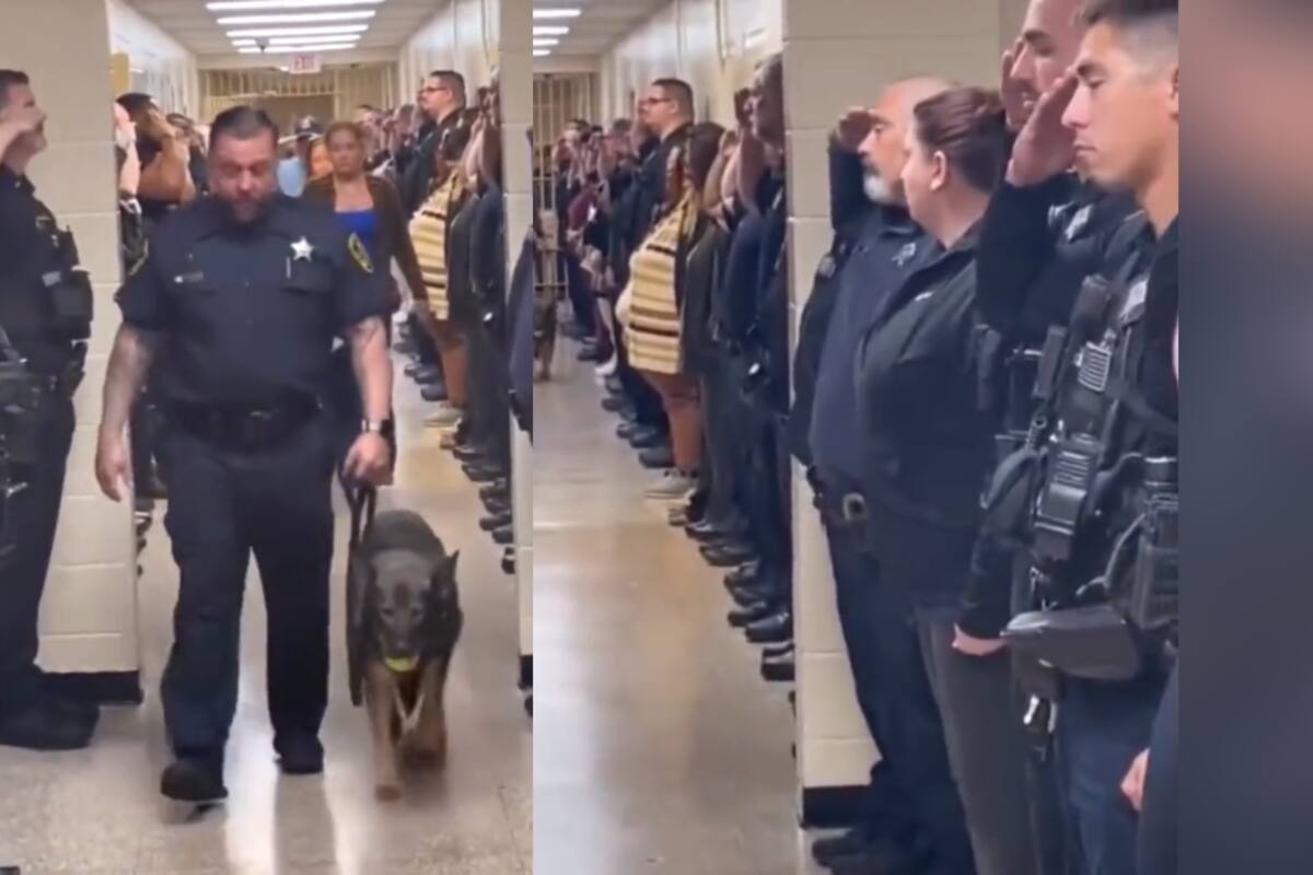 VIRAL: perro policía con cáncer terminal recibe un último saludo solemne por sus compañeros de trabajo