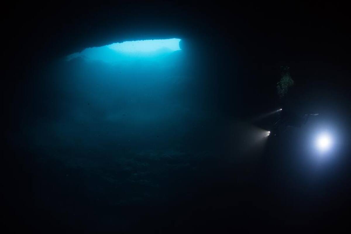 Hallan cinco raros cenotes de agua dulce en las costas de Quintana Roo