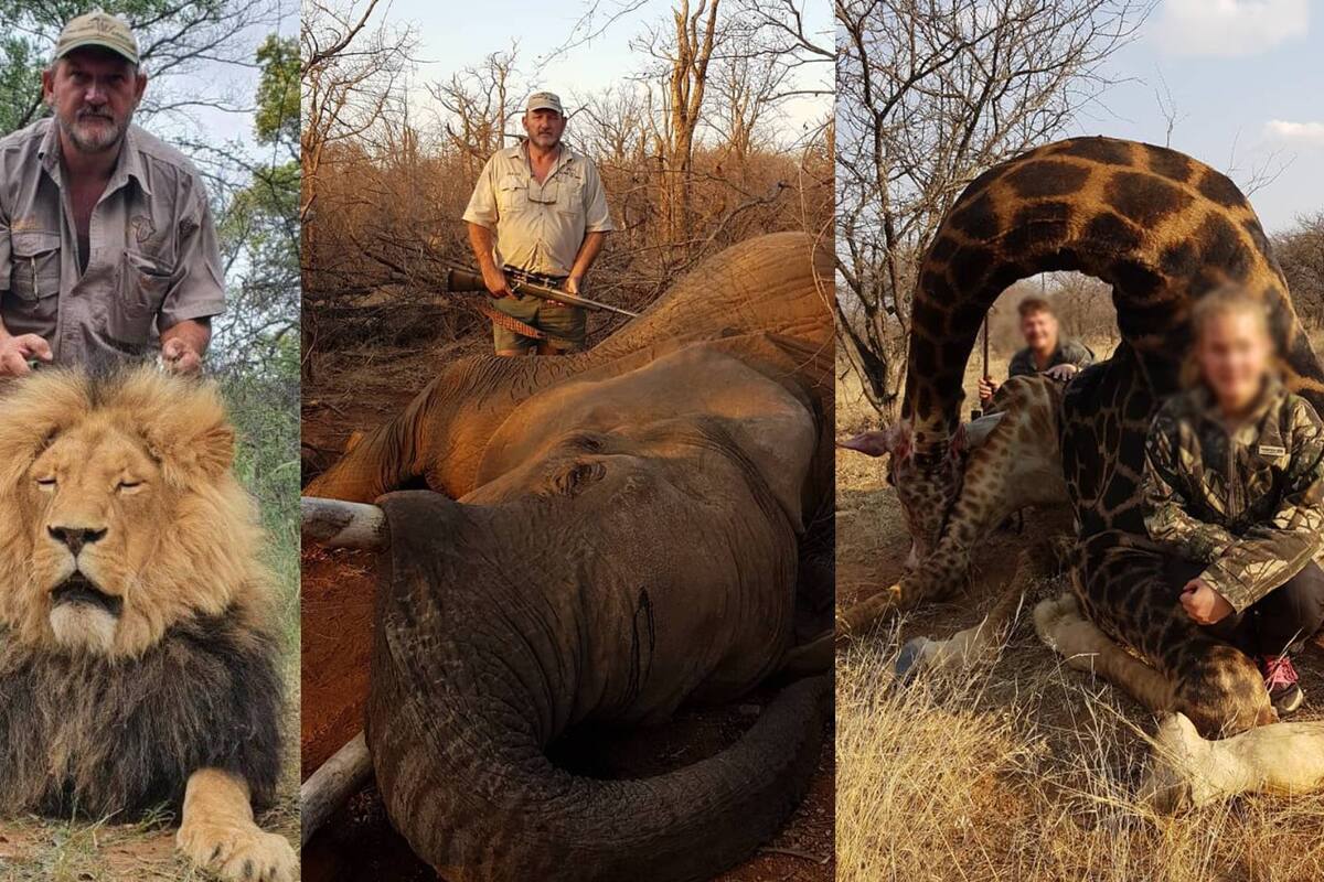 Internautas celebran la muerte de Riaan Naude, cazador que mató a decenas de animales