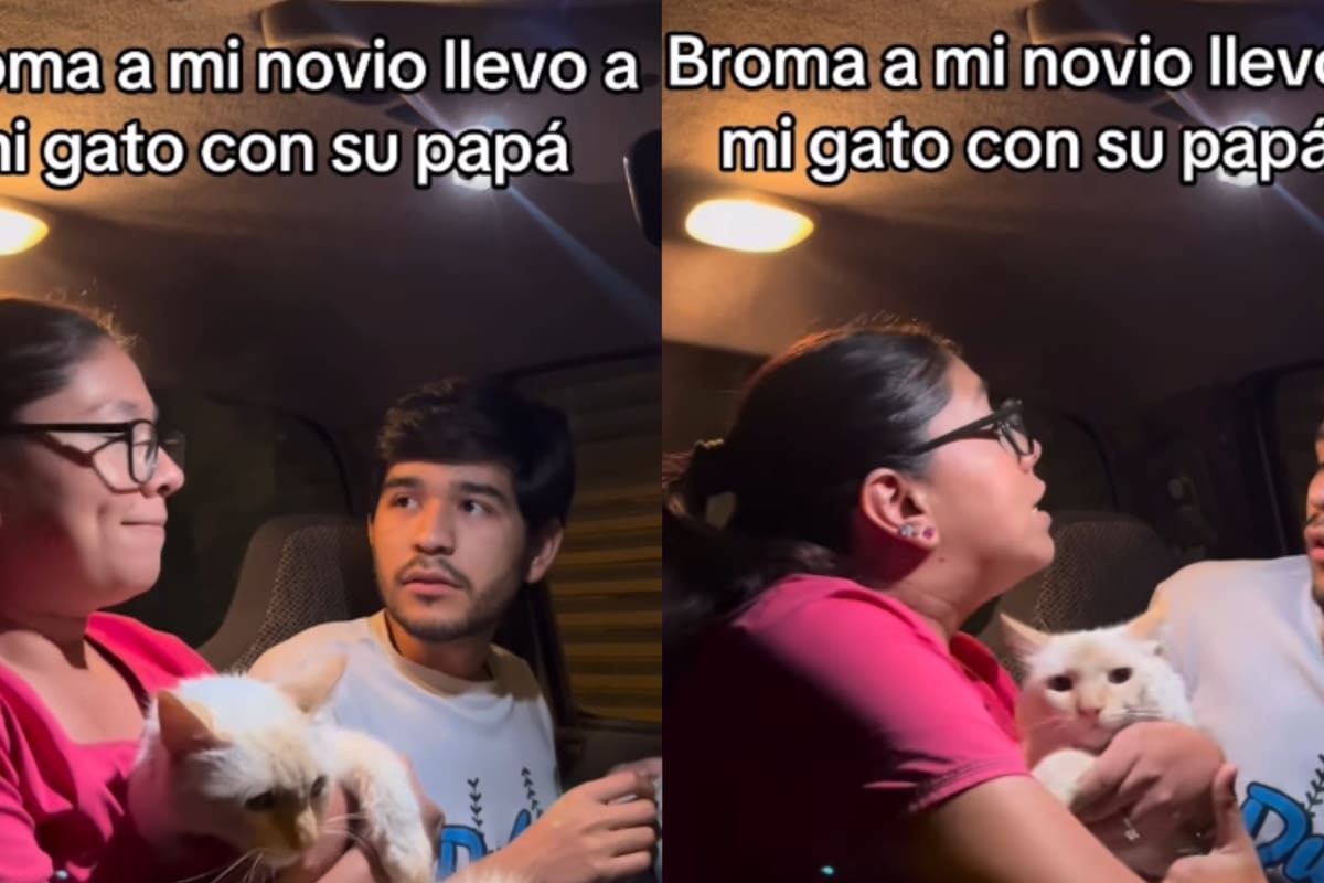 “No es un niño ni lleva sus apellidos”: joven hace broma a su novio sobre compartir la ‘custodia’ de su gato con su ex