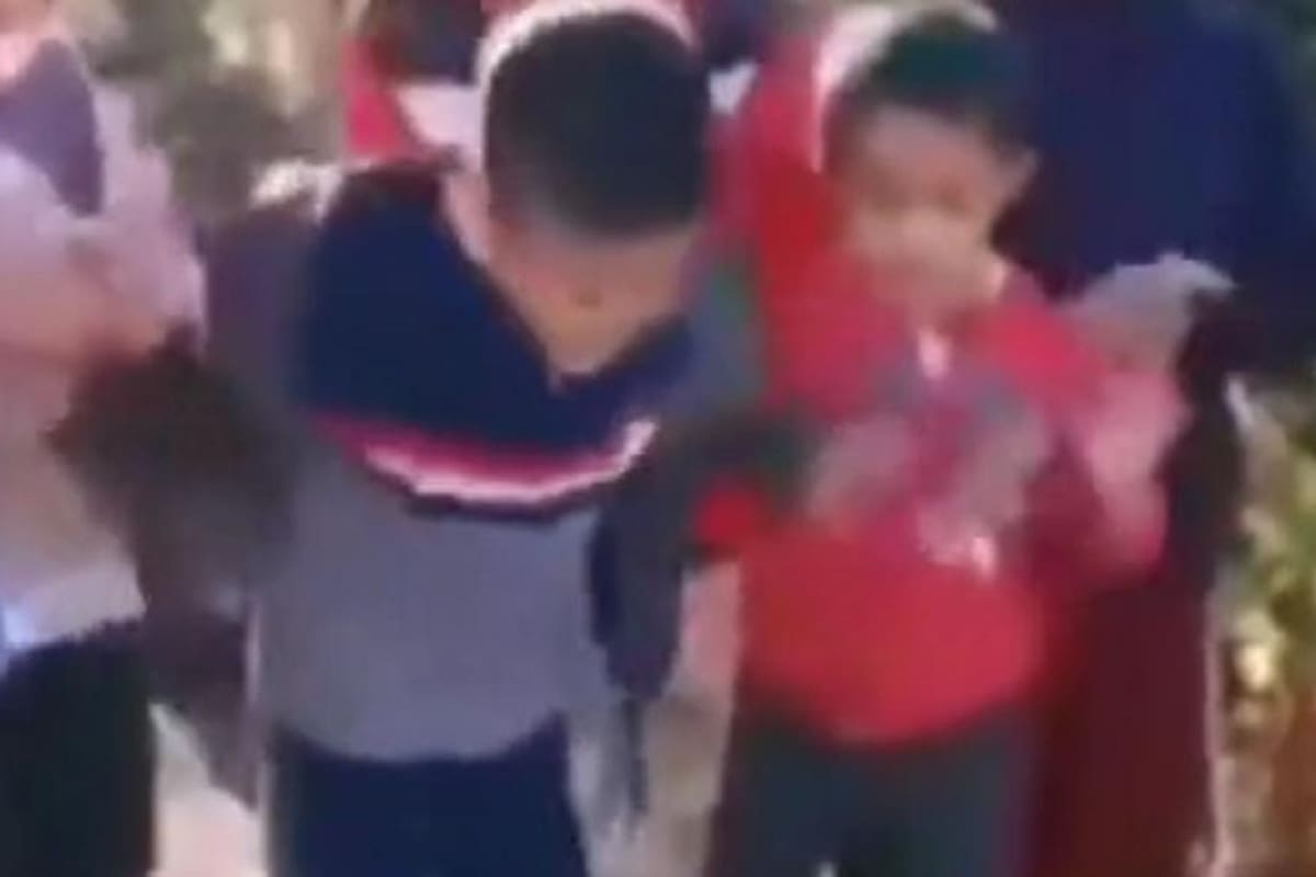 TikTok: Perrito arruina fiesta de cumpleaños al empujar al cumpleañero