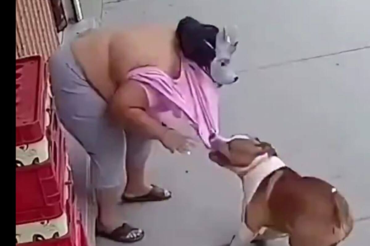 Joven therian enfrenta situación angustiante tras ser embestida por un pitbull; todo quedó registrado en video