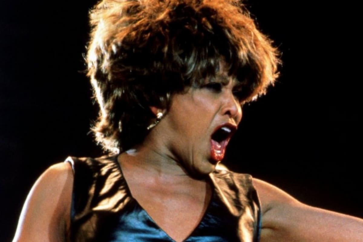 Tina Turner: Esta es la trágica historia de los hijos de la cantante