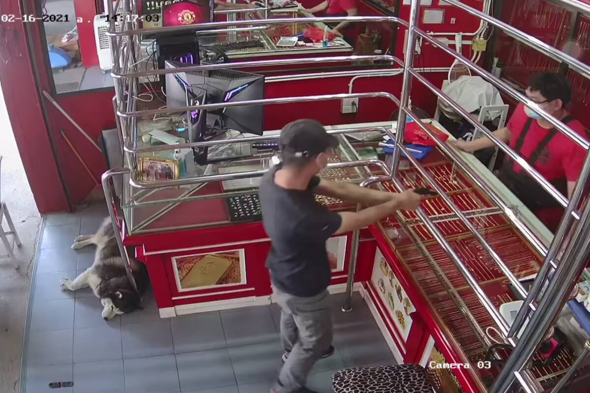 VIDEO VIRAL: Perrito "guardián" descansa mientras "asaltan" la joyería de su amo