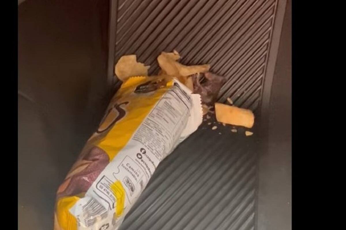 Mujer asegura que se encontró una rata muerte en su bolsa de papas fritas