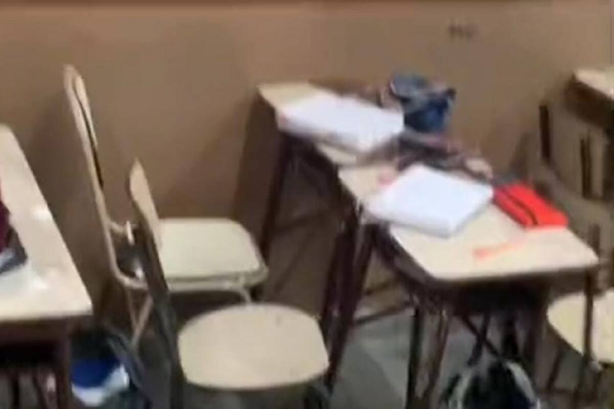 Alumnos se “salvan” de hacer un examen gracias a una rata que entró a su salón