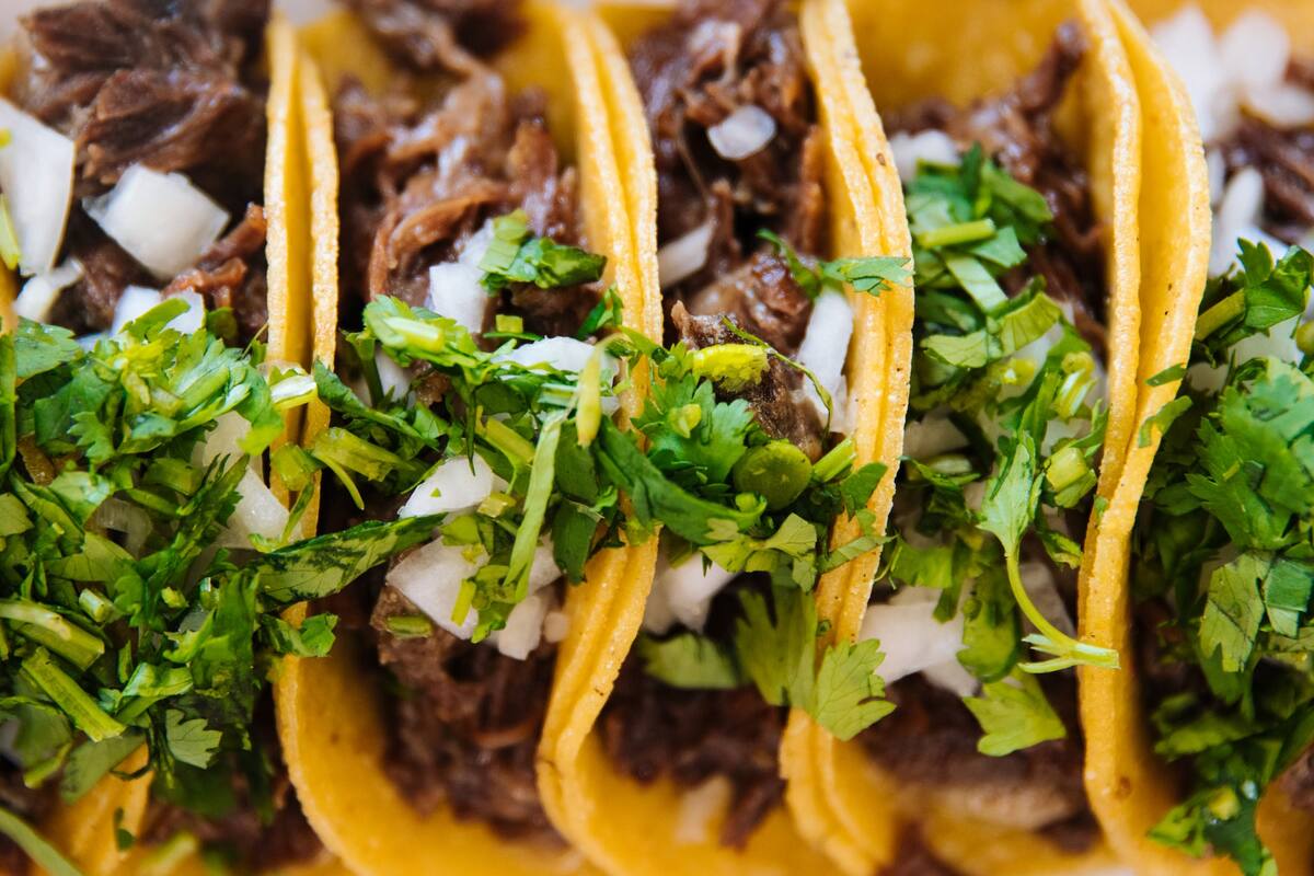 TikTok: Mujer se vuelve viral por prepararles taquitos a su mascota