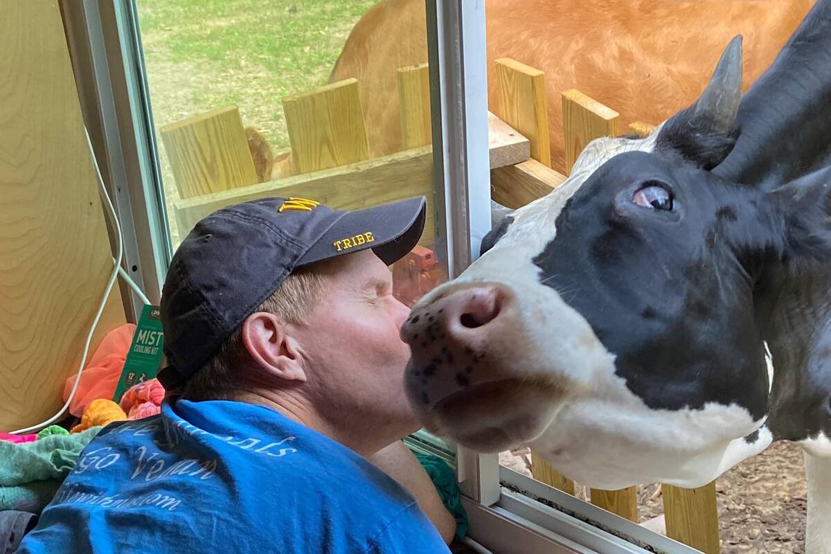 Vaca exige a diario recibir abrazo de su dueño