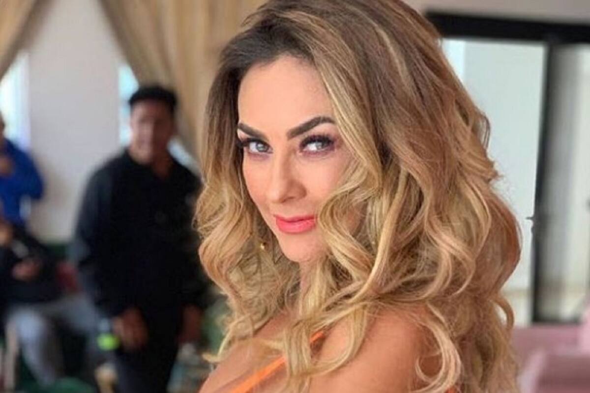 Reportera de EU tacha de ratera a Aracely Arámbula: "Aquí no estás en México"