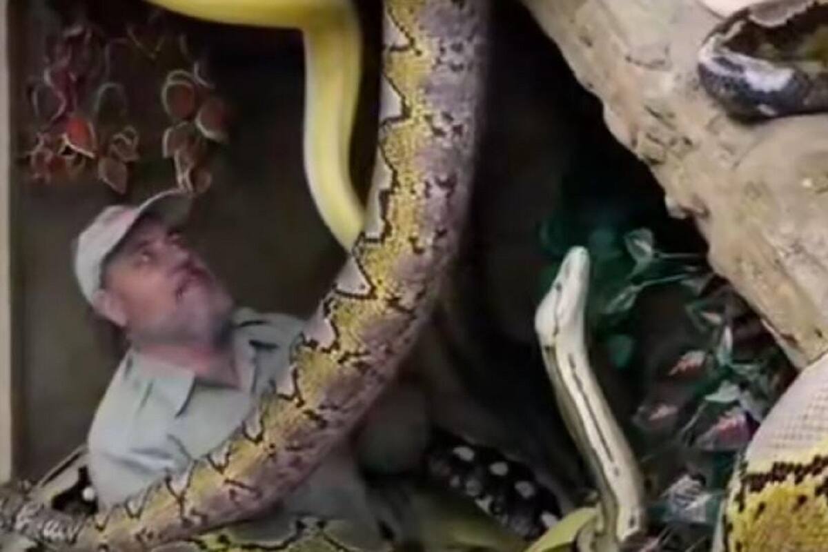VIDEO VIRAL: Hombre entra a un aparador lleno de serpientes y le caen encima