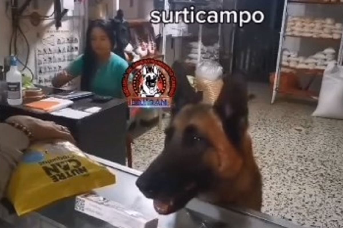 VIDEO VIRAL: Perrita deja con la boca abierta tras atender una veterinaria
