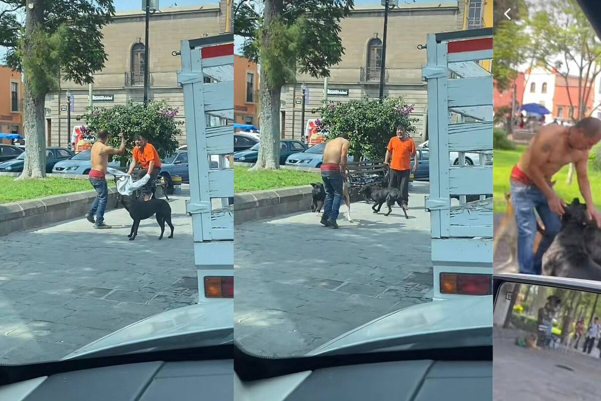 Perritos defienden a hombre de ser golpeado por un sujeto; Lo ahuyentan a mordidas