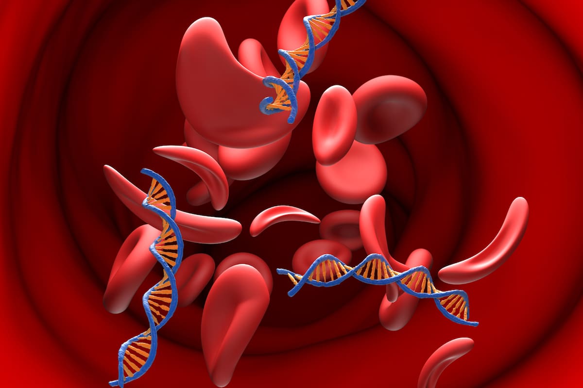 Células que desafían la muerte tras daños severos en tejidos