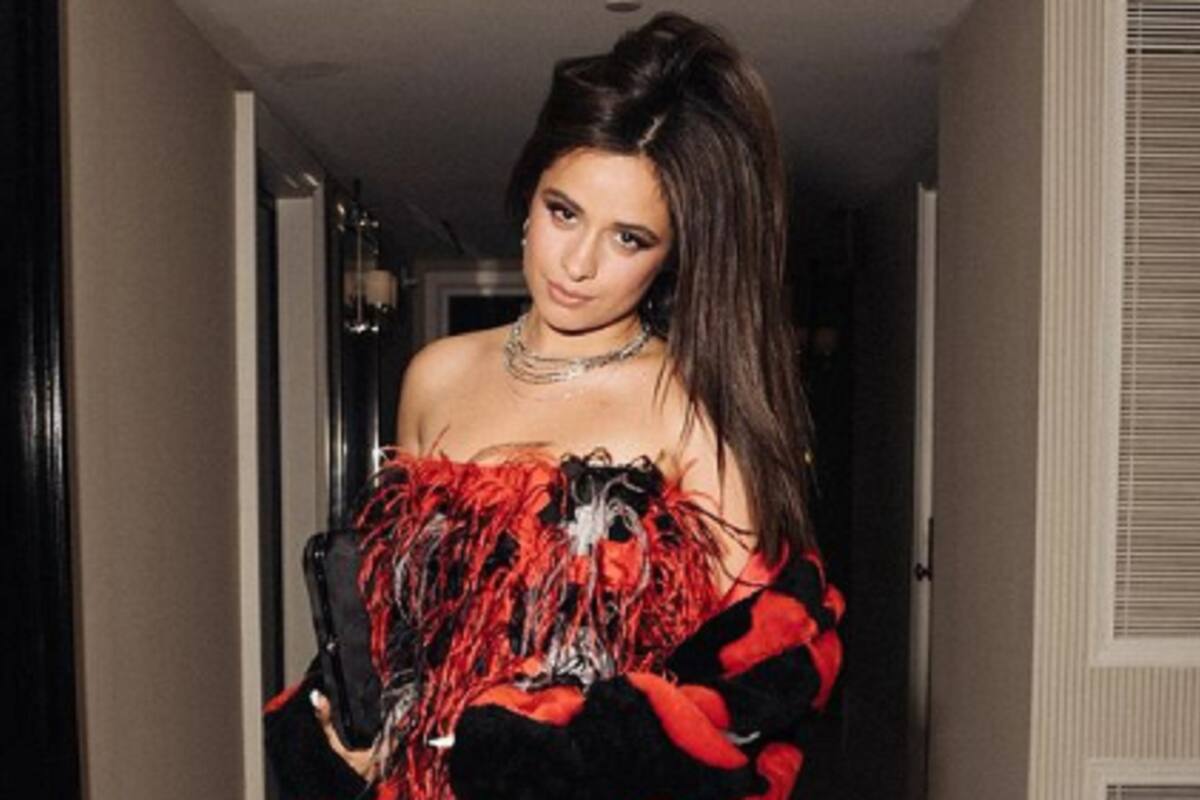 Camila Cabello hace "pecar" a sus fans con tierno traje de baño