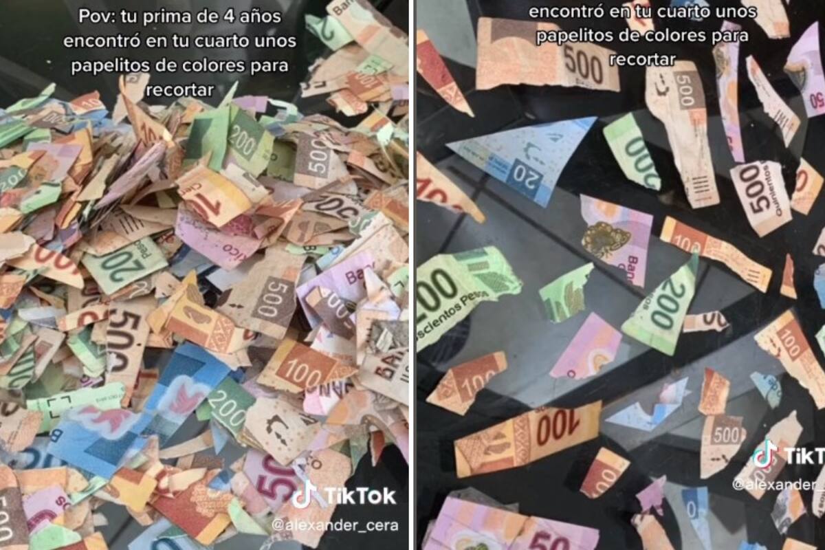 Niña corta billetes pensando que eran papelitos de colores y eran ¡los ahorros de su primo!
