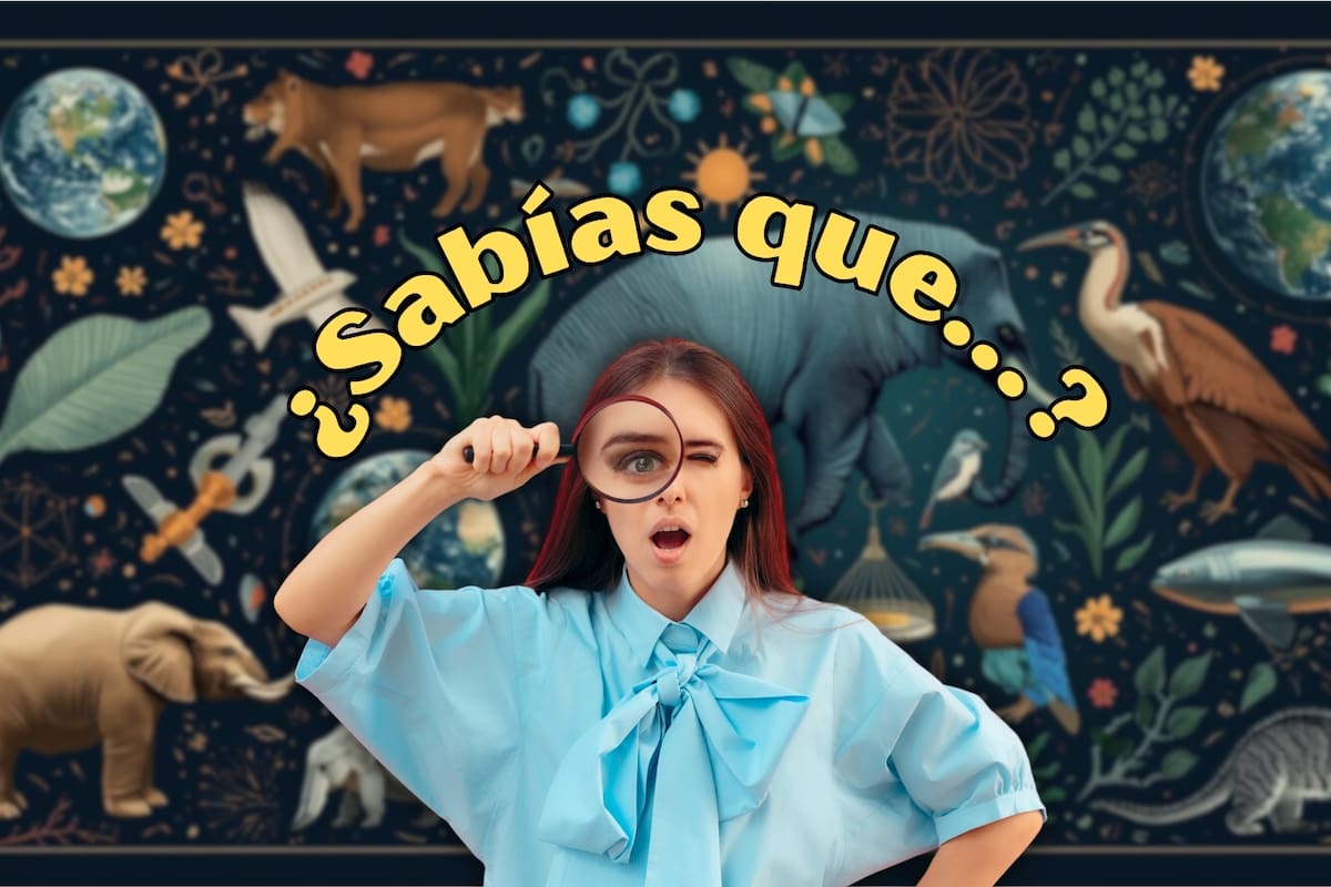 La sorprendente influencia de las bacterias en la salud humana