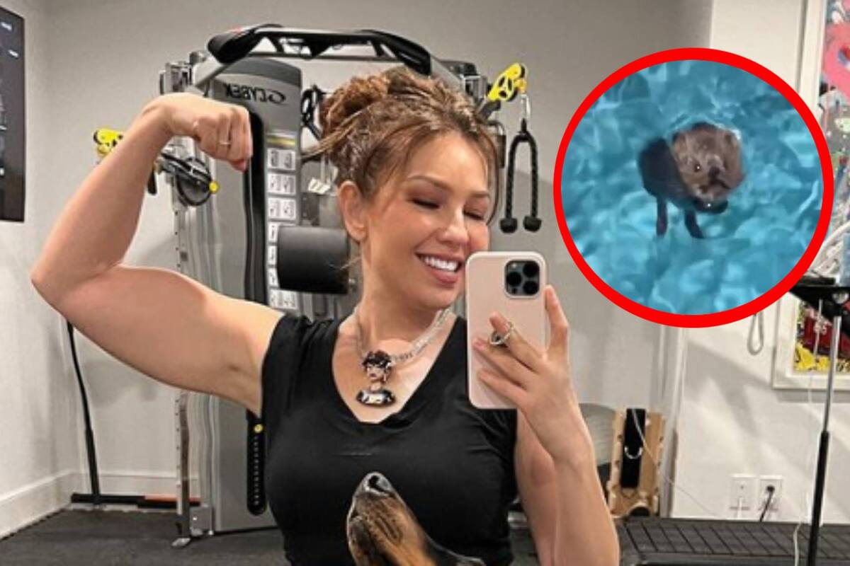 Thalía se vuelve viral al rescatar a un ratón de su alberca
