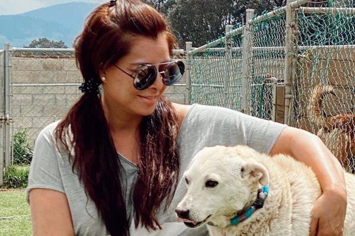 Yadhira Carrillo desea regresar a las telenovelas