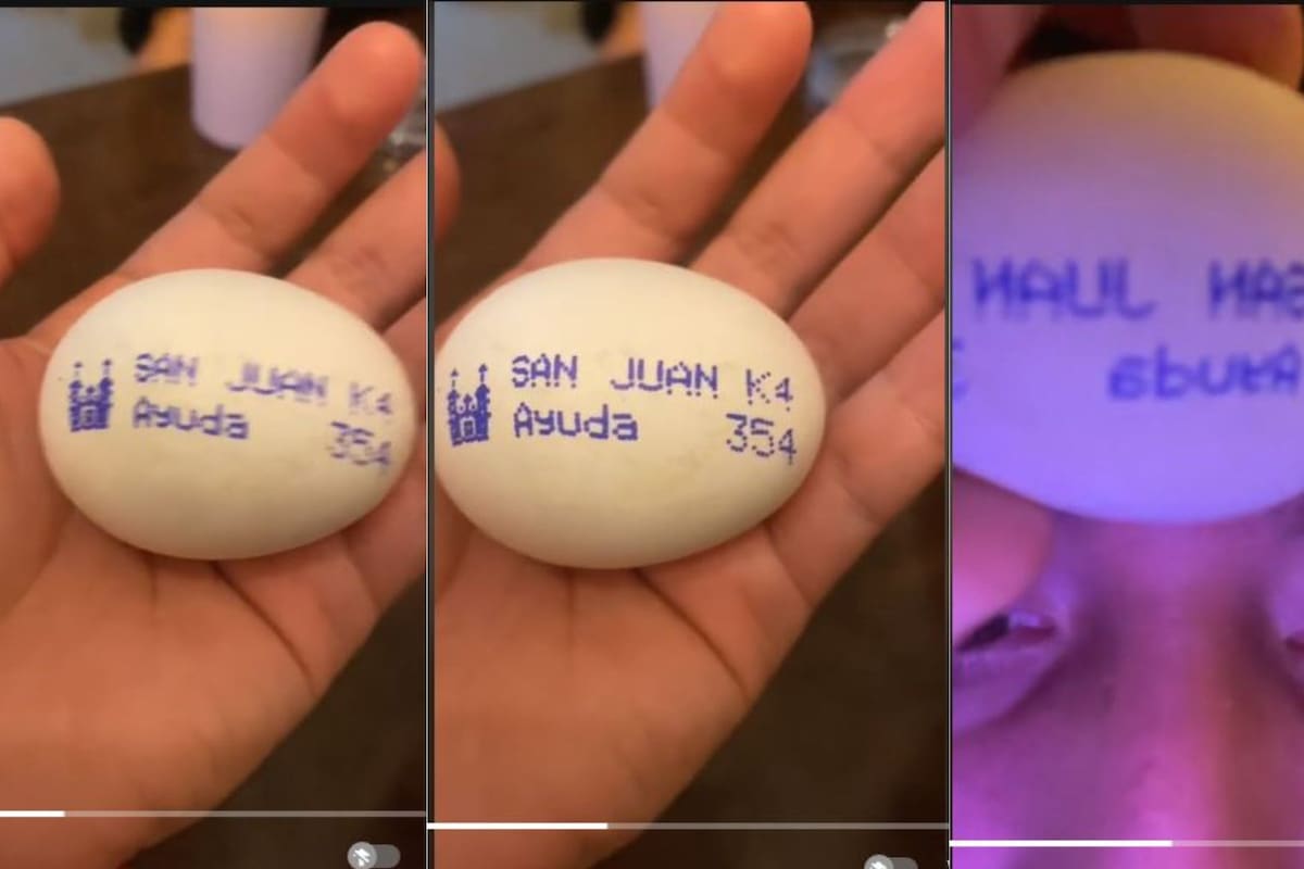 ¿Un llamado de auxilio en un huevo? El video viral que causó revuelo en redes sociales