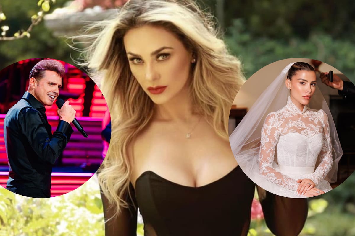 Aracely Arámbula desmiente a Luis Miguel: ¡No asistieron a la boda de Michelle Salas por culpa del cantante!