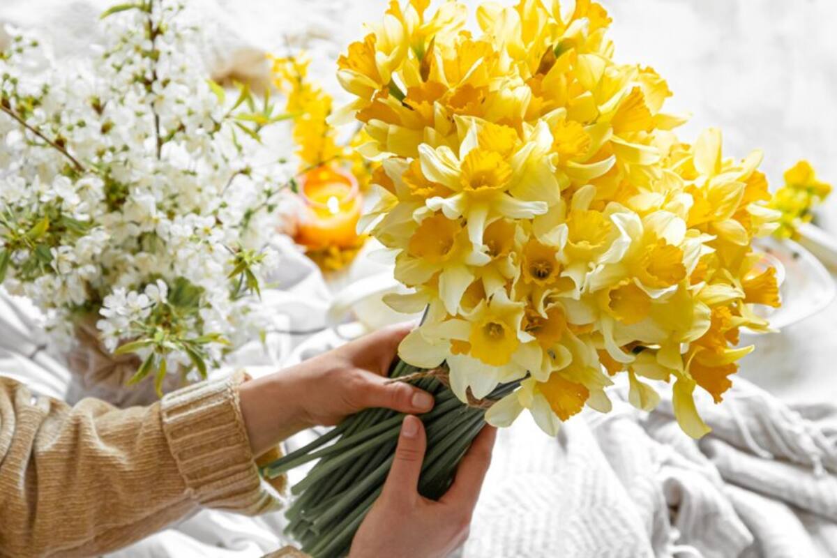 ¿Qué significa que te regalen flores amarillas este 21 de septiembre?