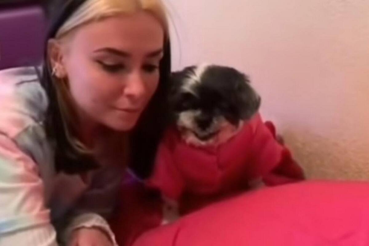 Perrito se vuelve viral en TikTok al sonreír cuando le toman fotos