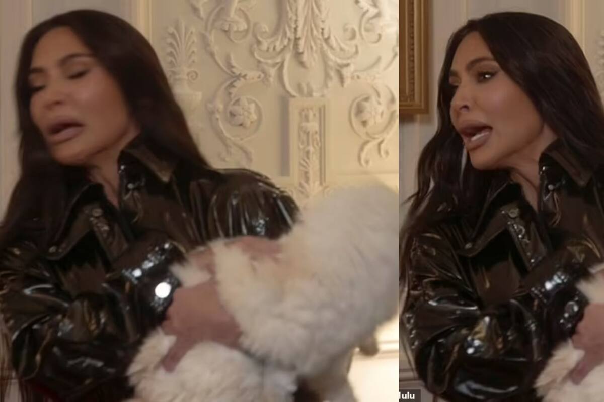 Gata de Karl Lagerfeld avienta ARAÑASO y mordidas a Kim Kardashian
