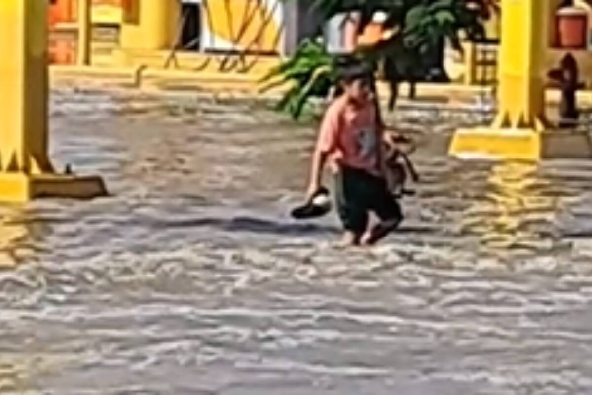 TikTok: Niño ayuda a perrito a cruzar calle inundada y se vuelve viral