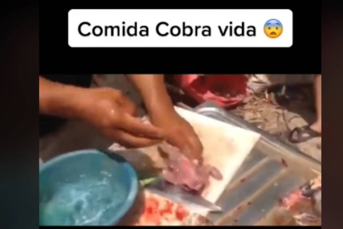 VIDEO: La comida de estas personas cobró vida