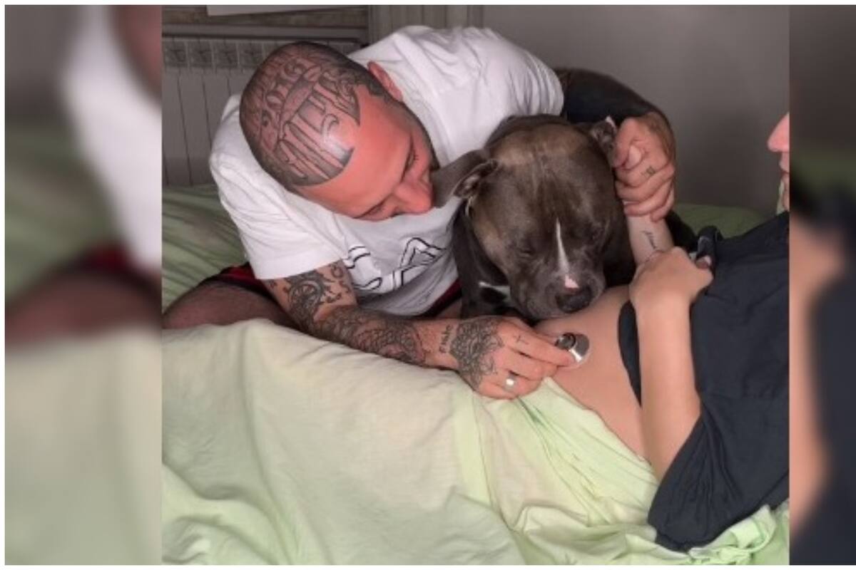 TikTok: Un perrito se vuelve viral por su reacción al escuchar a su futura mejor amiga