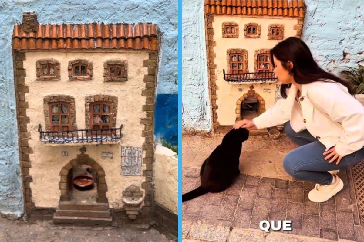 Descubre “La Casa de los Gatos” en Valencia, el hogar en miniatura diseñado para proteger a los felinos callejeros; conoce su historia
