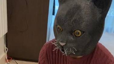 VIDEO VIRAL: Hombre le da gran susto a sus gatitos con máscara de gato