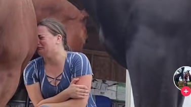 VIDEO VIRAL: Caballo “consuela” a su cuidadora al verla llorar