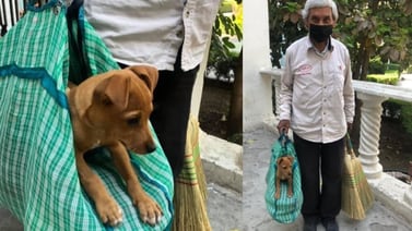 Anciano vende escobas junto a su cachorro adoptado para no dejarlo solo