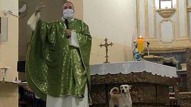 FOTOS: Sacerdote lleva a perritos a misa para que sean adoptados
